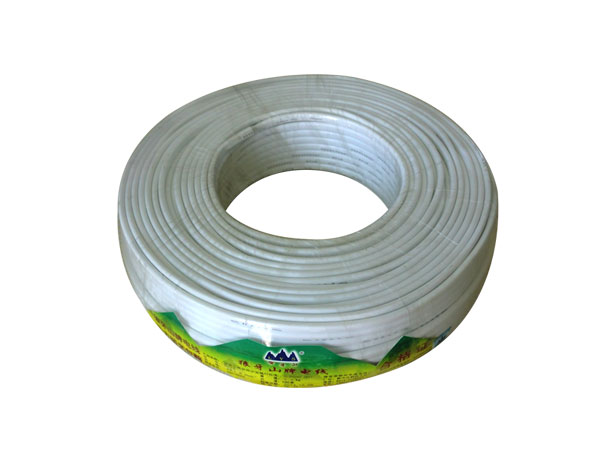 RVV003